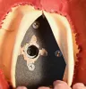 Prussian Dragoon Officer Pickelhaube - Felt Construction. RARE Visuel 12